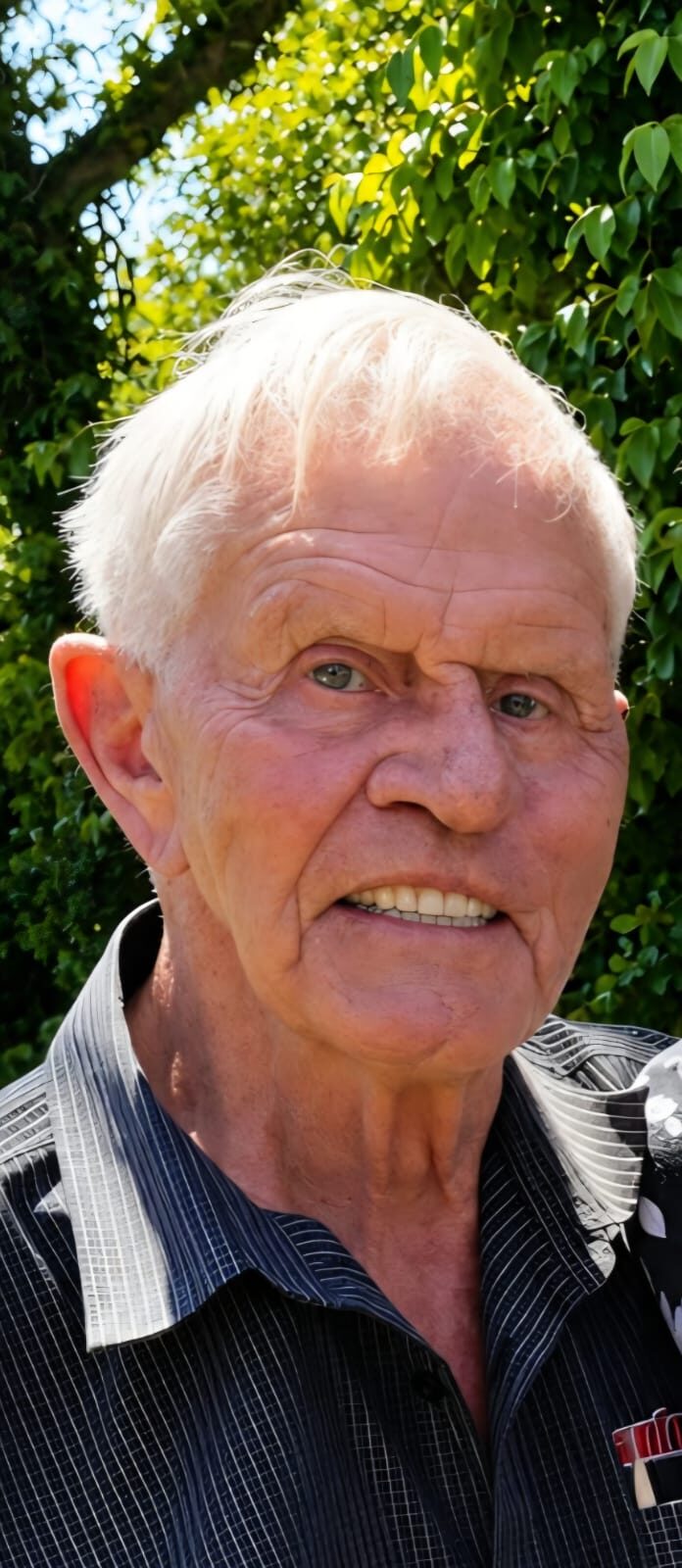 Adriaan Johannes Passano